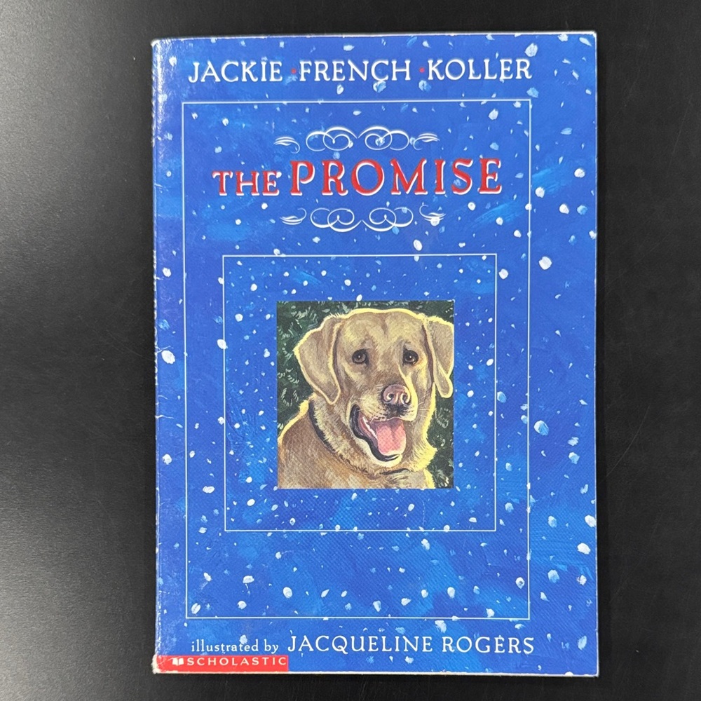 The Promise by Jackie French Koller - Scholastic Paperback Novel